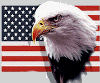 United we stand!