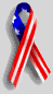 Remember 9-11-01